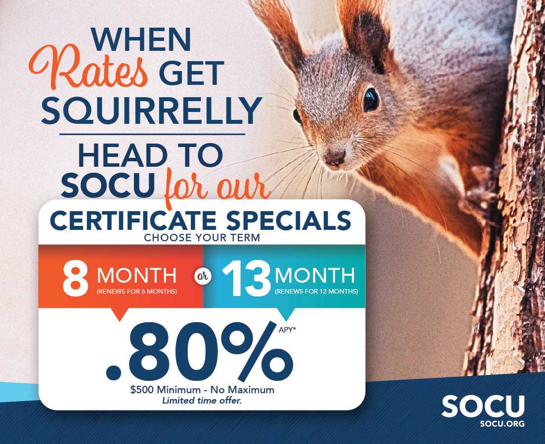 Squirrel Ad