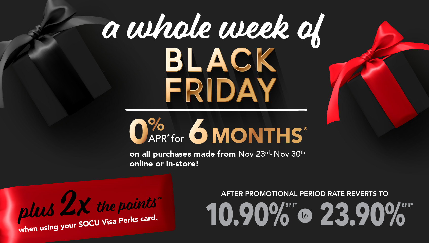 Black Friday Special