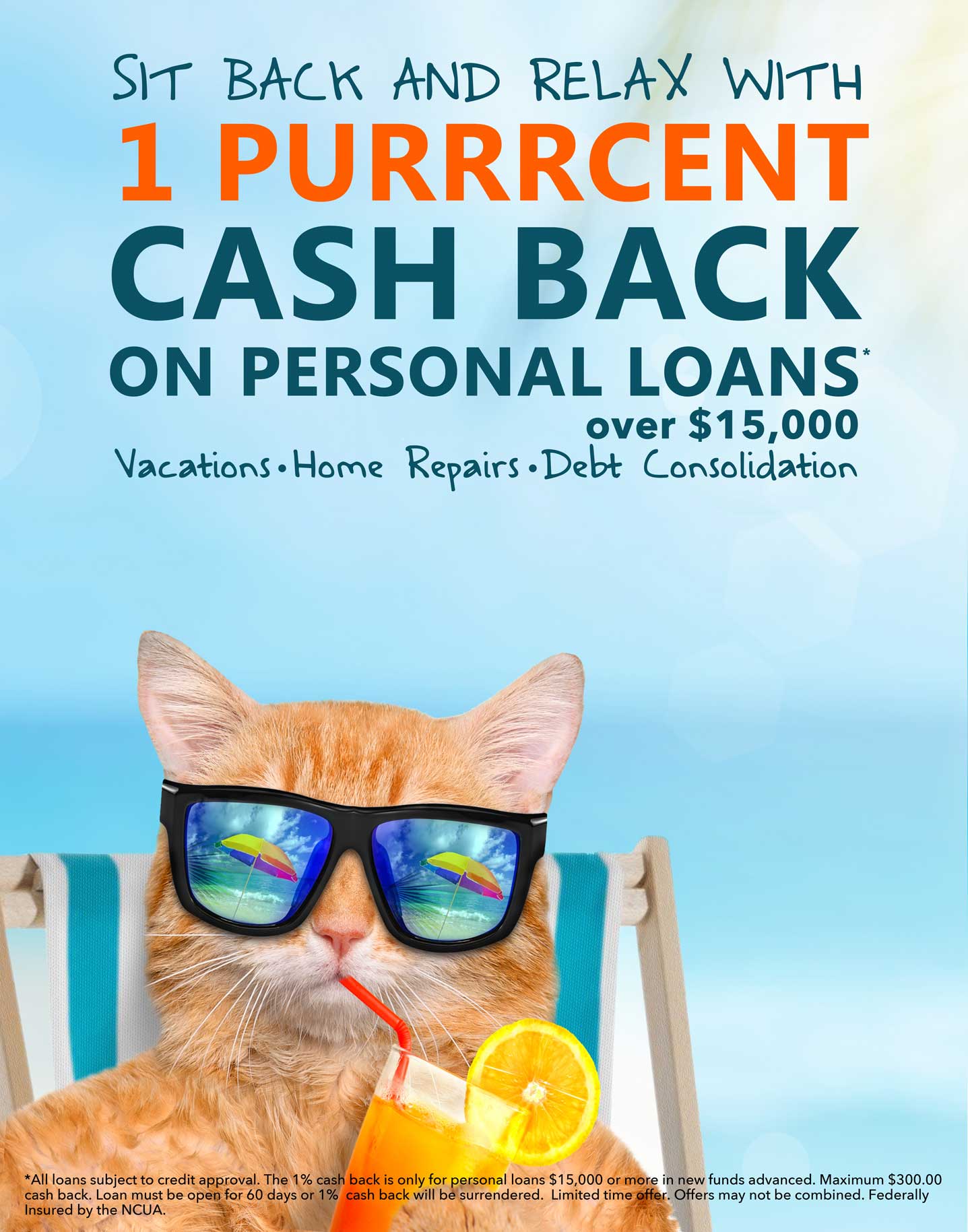 cat on beach